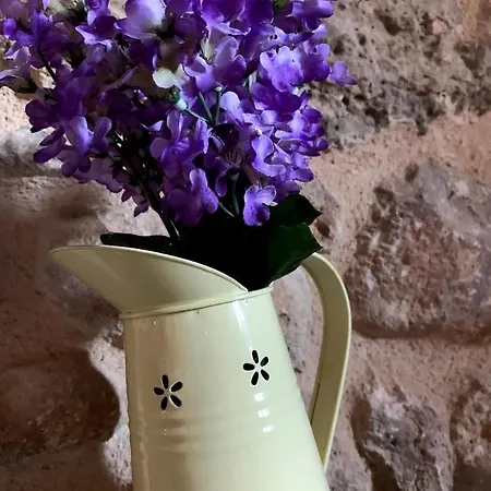 Masia De La Serra De La Cogulla Peñarroya de Tastavins