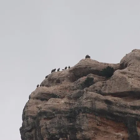 乡村民宿 Masia De La Serra De La Cogulla *