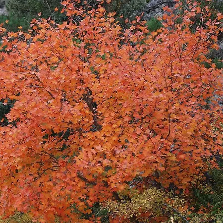 Masia De La Serra De La Cogulla