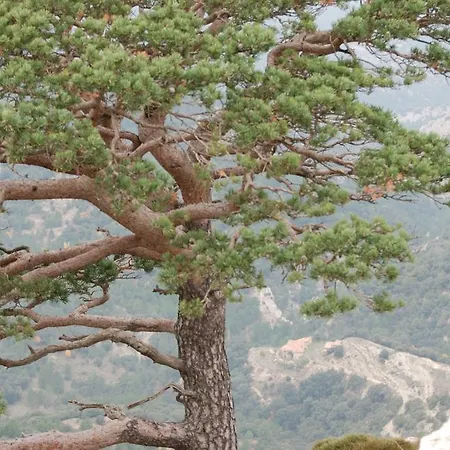 컨트리하우스 Masia De La Serra De La Cogulla