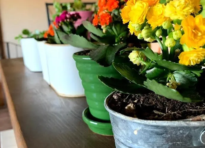 Casa de Campo Masia De La Serra De La Cogulla