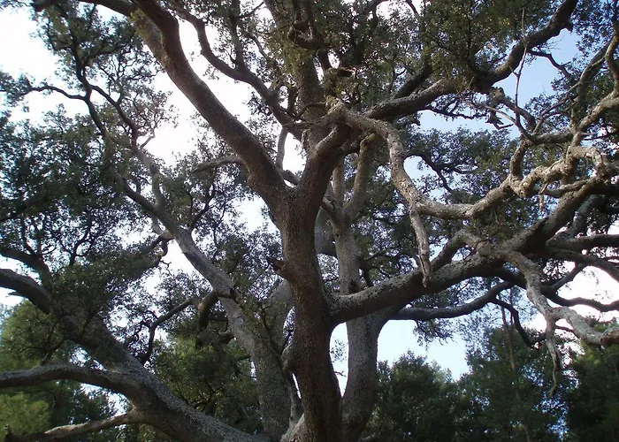 Masia De La Serra De La Cogulla