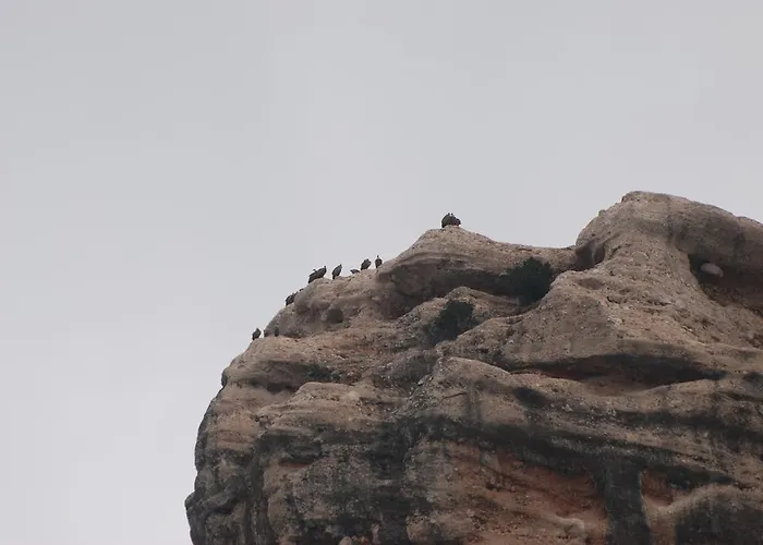 Casa de Campo Masia De La Serra De La Cogulla *