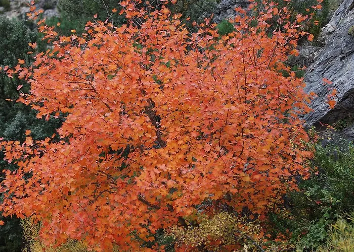 Masia De La Serra De La Cogulla