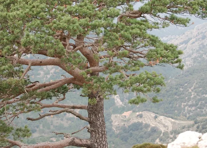 Lantställe Masia De La Serra De La Cogulla